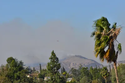 DSC_5597 (Large).JPG